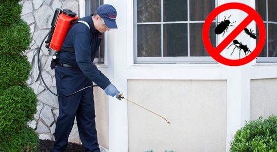 Espiye Kene İlaçlama böcek ilaçlama ve haşere kontrolü — ilaclama-tr.com